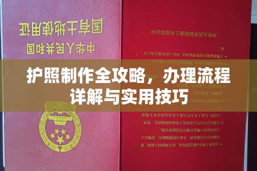 浑南护照制作全攻略，办理流程详解与实用技巧